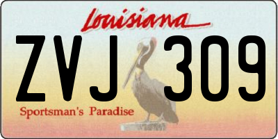 LA license plate ZVJ309