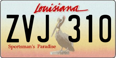 LA license plate ZVJ310