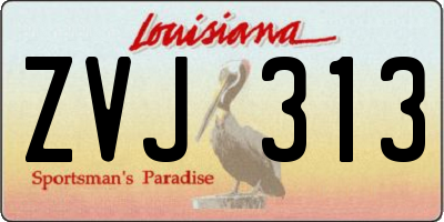 LA license plate ZVJ313