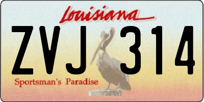 LA license plate ZVJ314