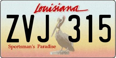 LA license plate ZVJ315