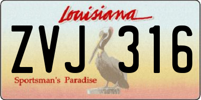 LA license plate ZVJ316