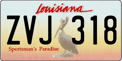 LA license plate ZVJ318