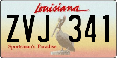 LA license plate ZVJ341