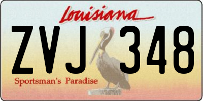 LA license plate ZVJ348