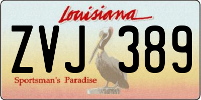 LA license plate ZVJ389