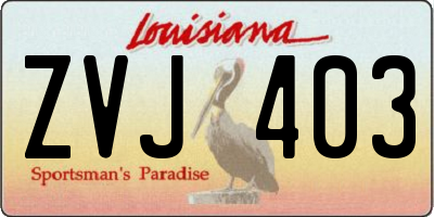 LA license plate ZVJ403