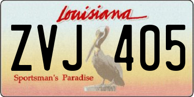 LA license plate ZVJ405