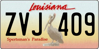 LA license plate ZVJ409