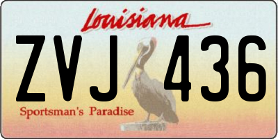 LA license plate ZVJ436