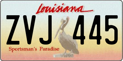 LA license plate ZVJ445