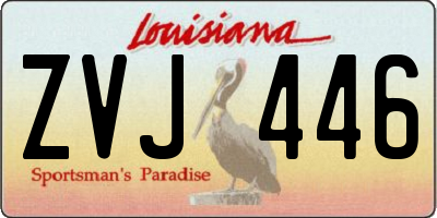 LA license plate ZVJ446