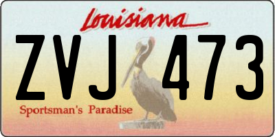 LA license plate ZVJ473