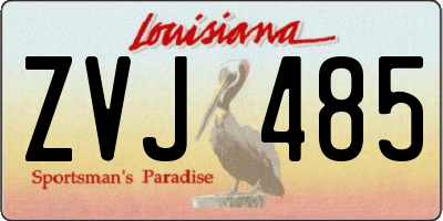 LA license plate ZVJ485