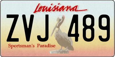 LA license plate ZVJ489