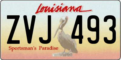 LA license plate ZVJ493