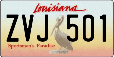 LA license plate ZVJ501