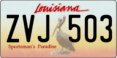 LA license plate ZVJ503