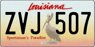 LA license plate ZVJ507