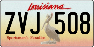 LA license plate ZVJ508