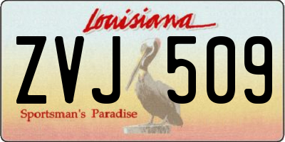 LA license plate ZVJ509