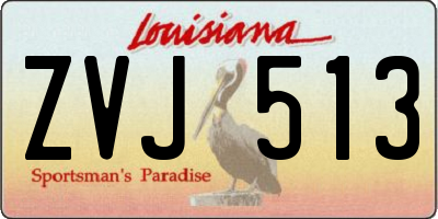 LA license plate ZVJ513