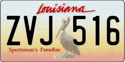 LA license plate ZVJ516