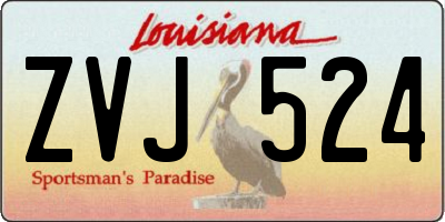 LA license plate ZVJ524