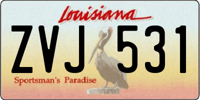 LA license plate ZVJ531