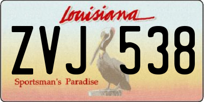LA license plate ZVJ538