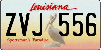 LA license plate ZVJ556