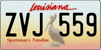 LA license plate ZVJ559