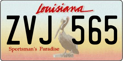 LA license plate ZVJ565