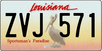 LA license plate ZVJ571