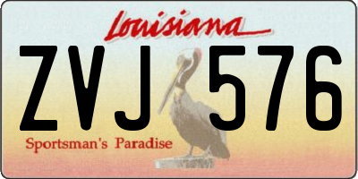 LA license plate ZVJ576