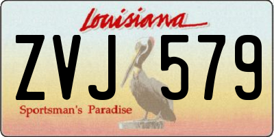 LA license plate ZVJ579