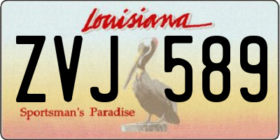 LA license plate ZVJ589