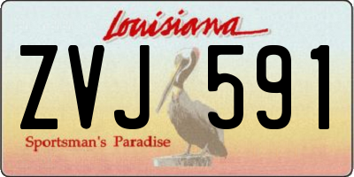 LA license plate ZVJ591