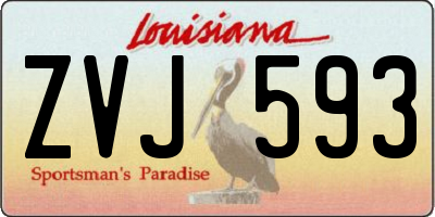 LA license plate ZVJ593