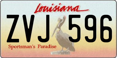 LA license plate ZVJ596