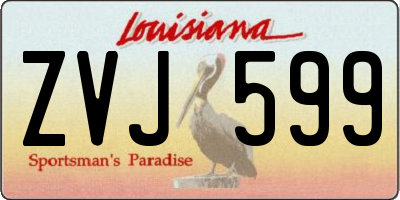 LA license plate ZVJ599