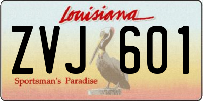 LA license plate ZVJ601