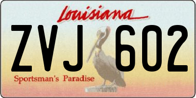 LA license plate ZVJ602