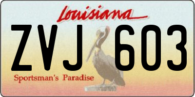 LA license plate ZVJ603