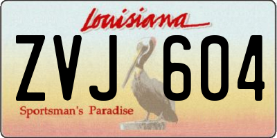 LA license plate ZVJ604