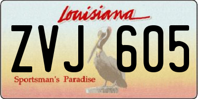 LA license plate ZVJ605