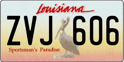 LA license plate ZVJ606