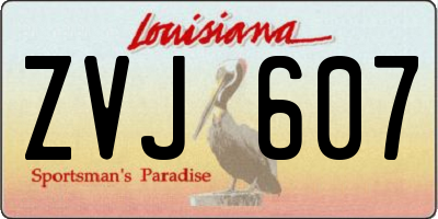 LA license plate ZVJ607