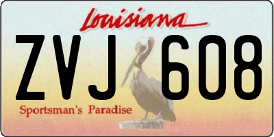 LA license plate ZVJ608