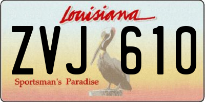 LA license plate ZVJ610